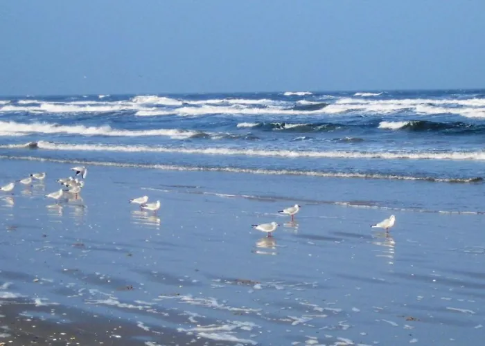 Landhaus Krummin Διαμέρισμα