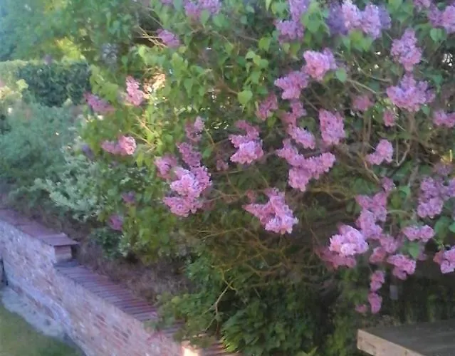 Landhaus Krummin Krummin